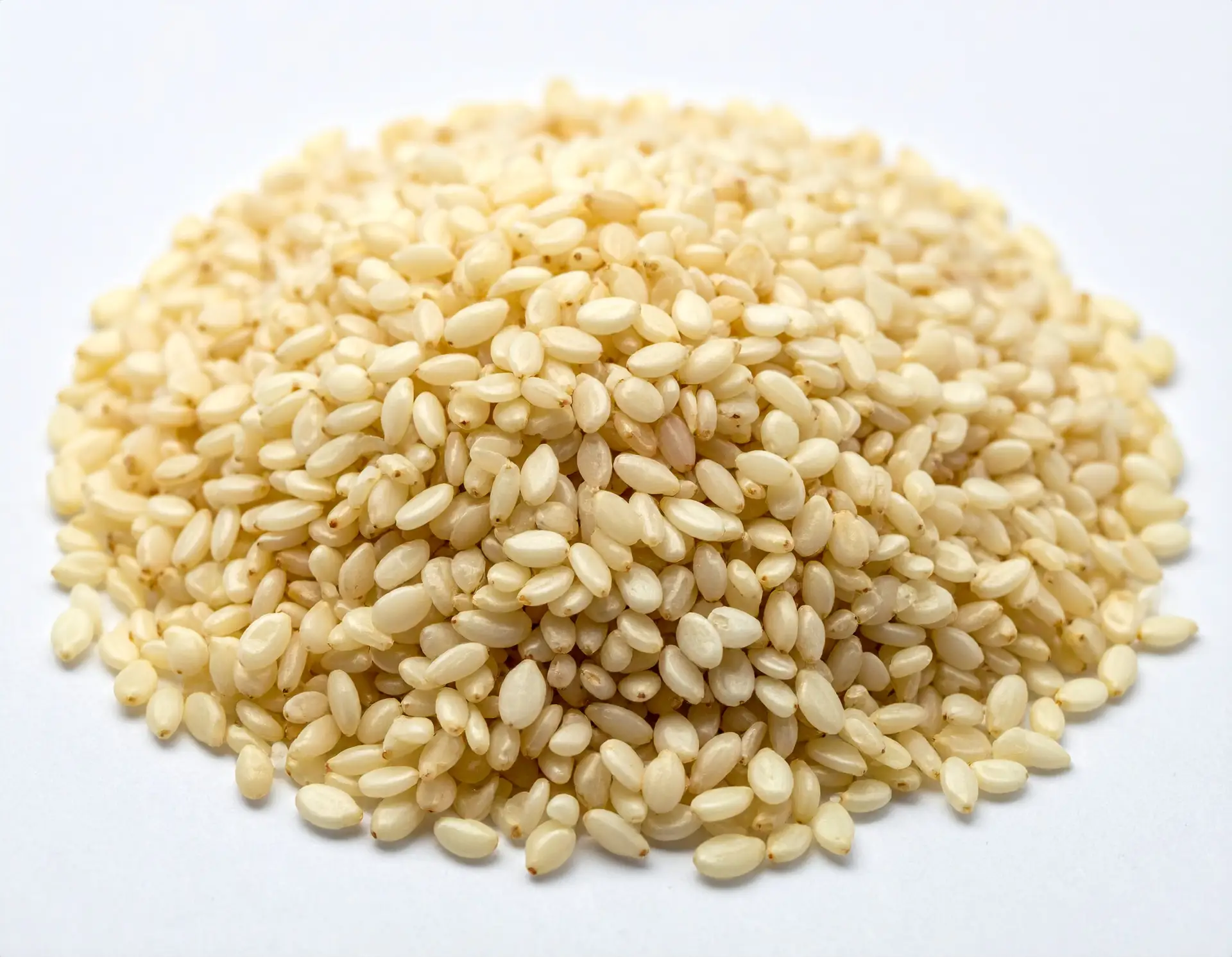 Sesame Seed